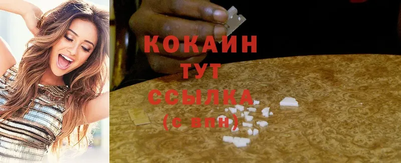 Cocaine FishScale  где найти   Емва 